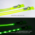 Collier de chien LED LED rechargeable à eau réglable USB